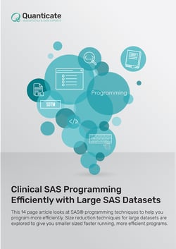 Clinical SAS Programming Efficiently with Large SAS Datasets